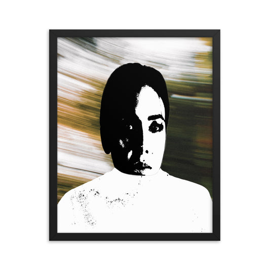 shell (framed print: 16x20 in.)