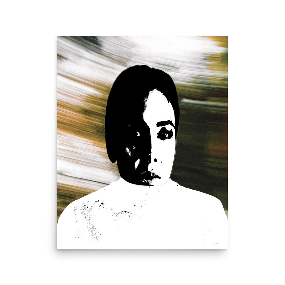 shell (print: 16x20 in.)