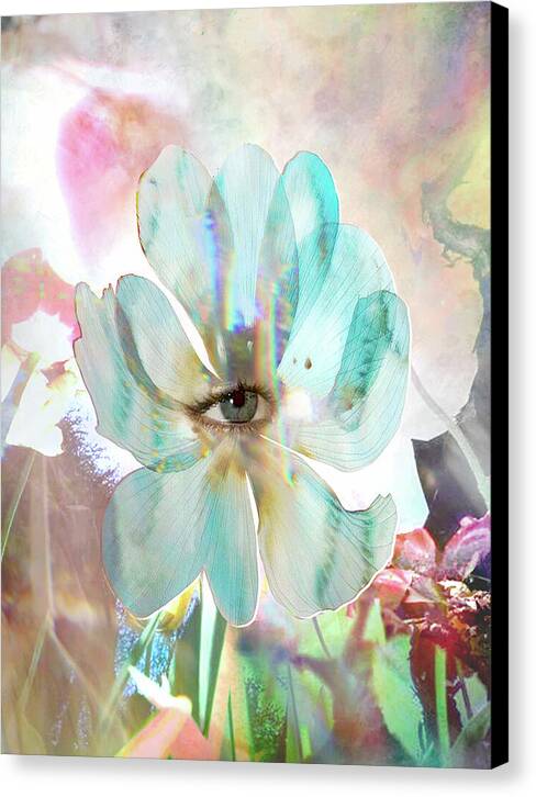 mother nature's surveillance team (canvas print: 30x40 in.)