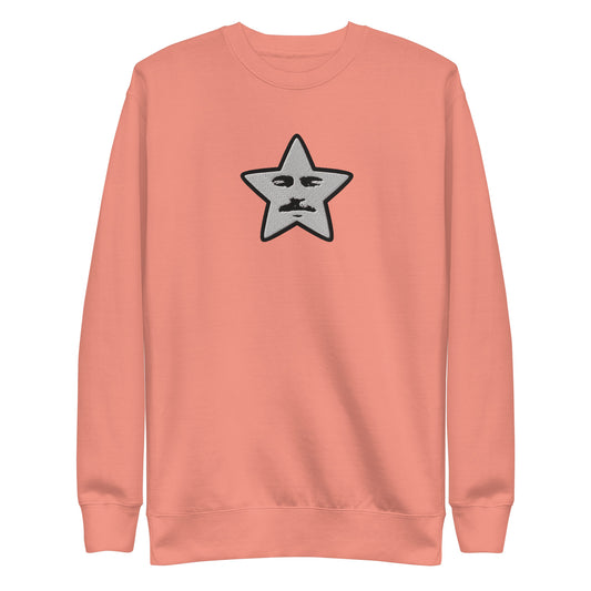embroidered starface sweatshirt | dusty rose (cotton)